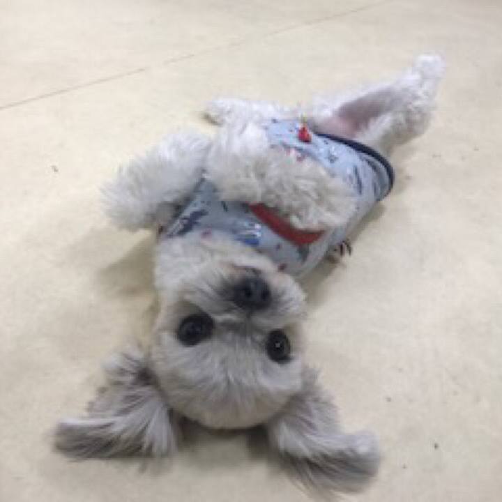 E63620c9 6a34 4d15 91e9 0d46a4c5e752 1519037092438