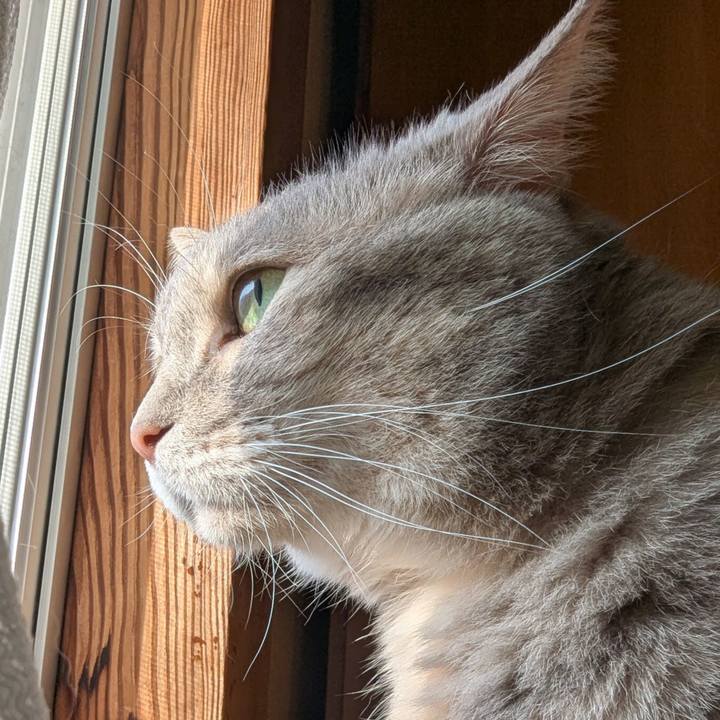 E6365e09 ec77 448a beb8 4343308f63a4 1756706652391