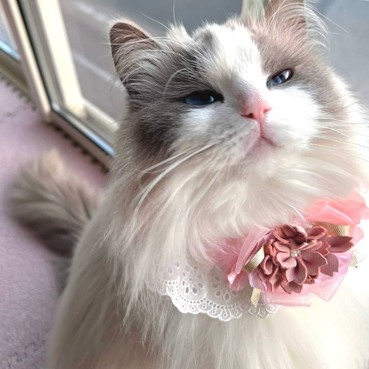 E6366543 5b16 4e03 b8fc c22a38a9a347 1679393349324