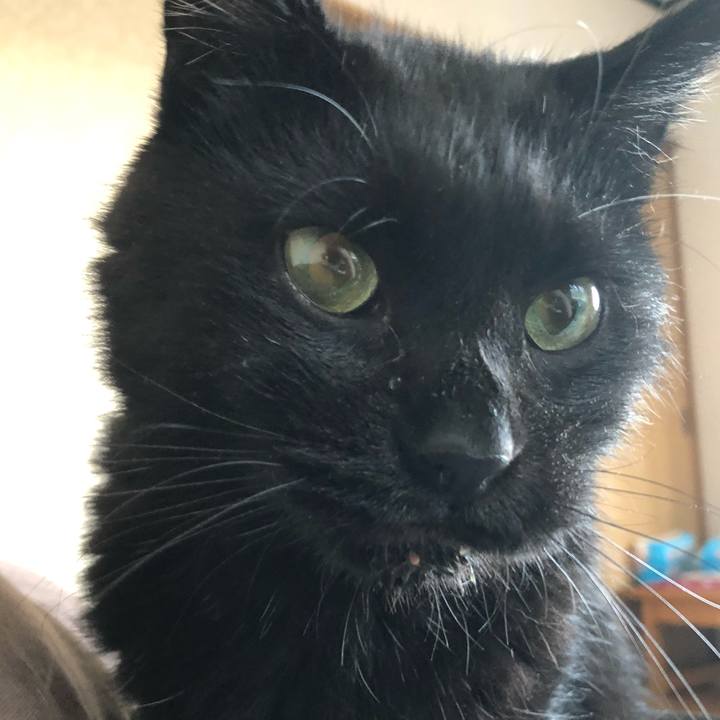 E63686b6 186c 4130 99b7 7617ffcb5e3a 1634160882957