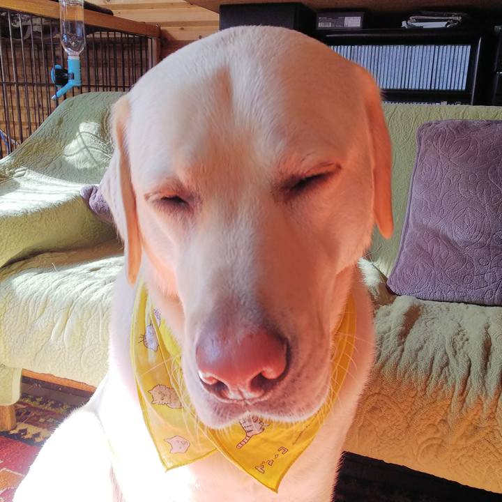 E636933f f44c 40cf a7ab d194c03678f2 1518146855569