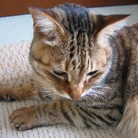 E6369bb9 05d0 4910 a6e1 cffeeda2dbc5 1519039467175