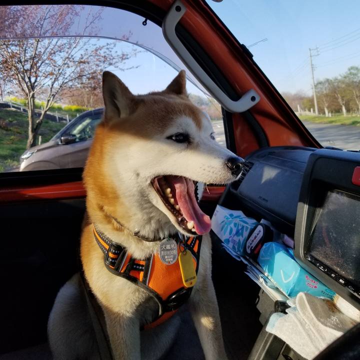 E636afcf f2c6 4ea2 9aee 12f1b4f29272 1618995134481