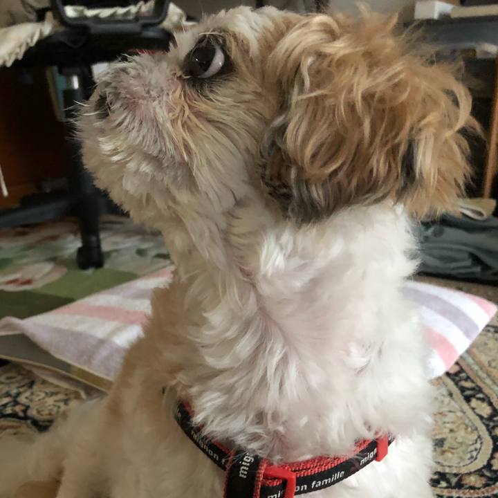 E636ccba 0e58 4d2f b2fd 5ab3c6b3ddda 1602194158492