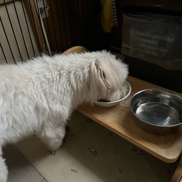 E6373d30 4566 486c 9e7d 15845aaef430 1756896007256