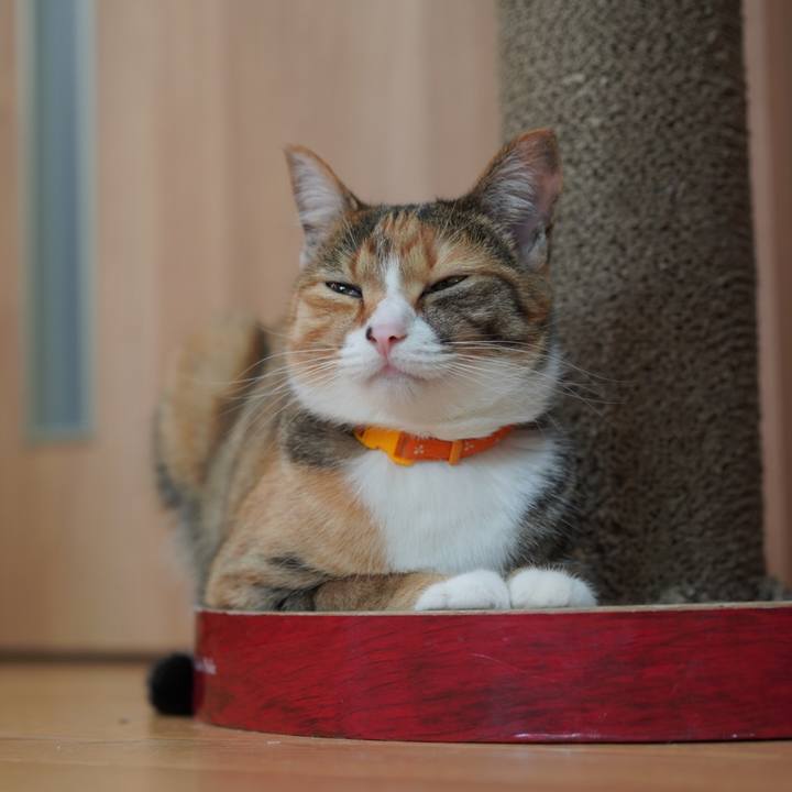 E63749da 2d25 4ee8 8e07 a4a4d6d59728 1620744060359