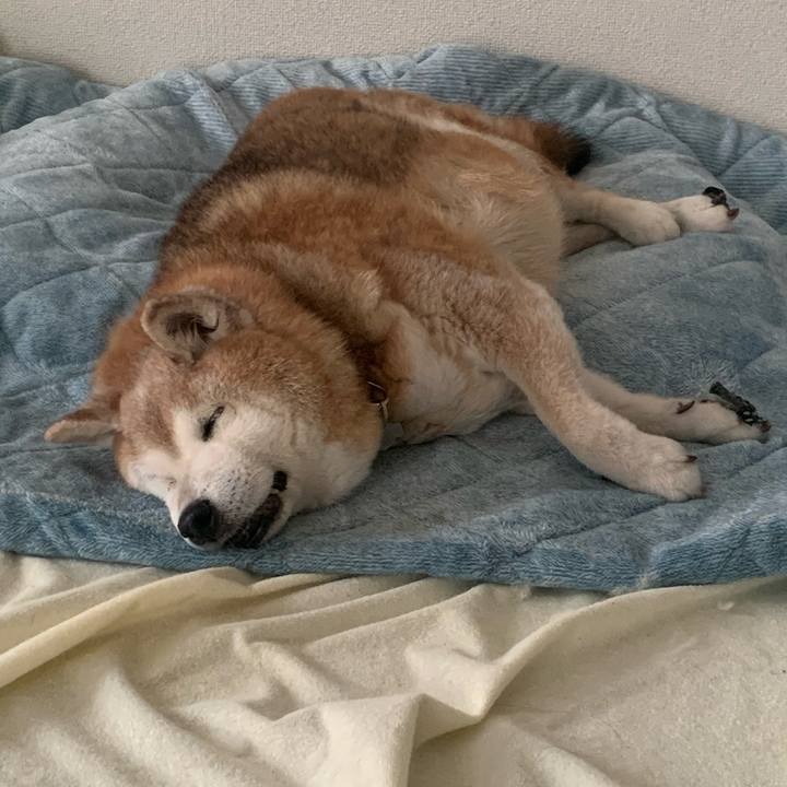 E6376f31 34cc 43ee a032 8dfaf4f114f3 1688079392222