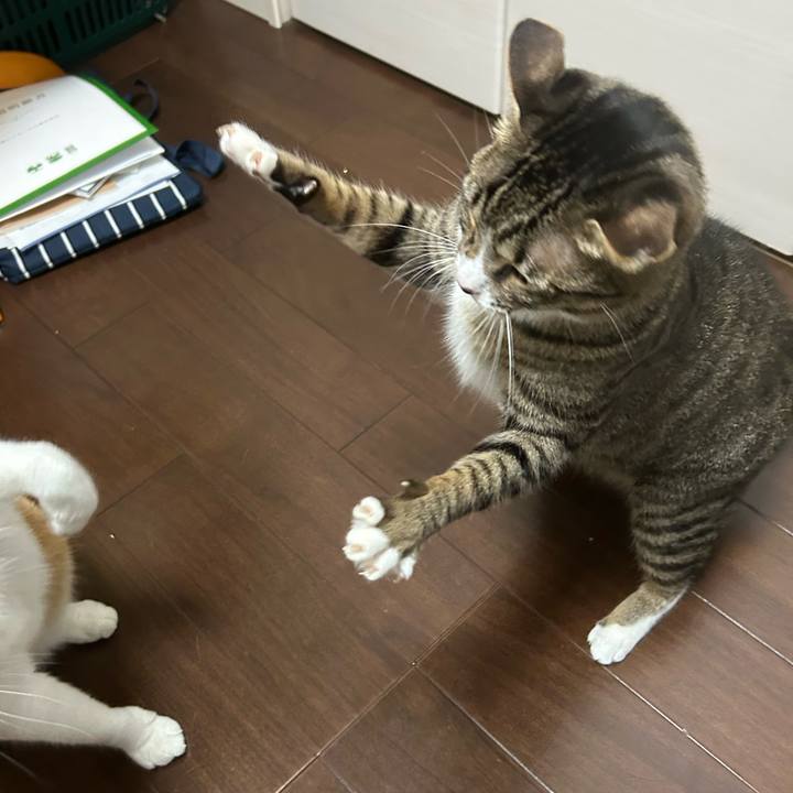 E6378610 1b2d 41d3 bdd9 b71fd54289d4 1760689939808