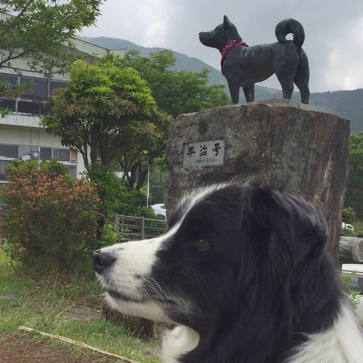 E6378726 c470 4b6a 99d1 ebd9aa74cbef 1559547294294