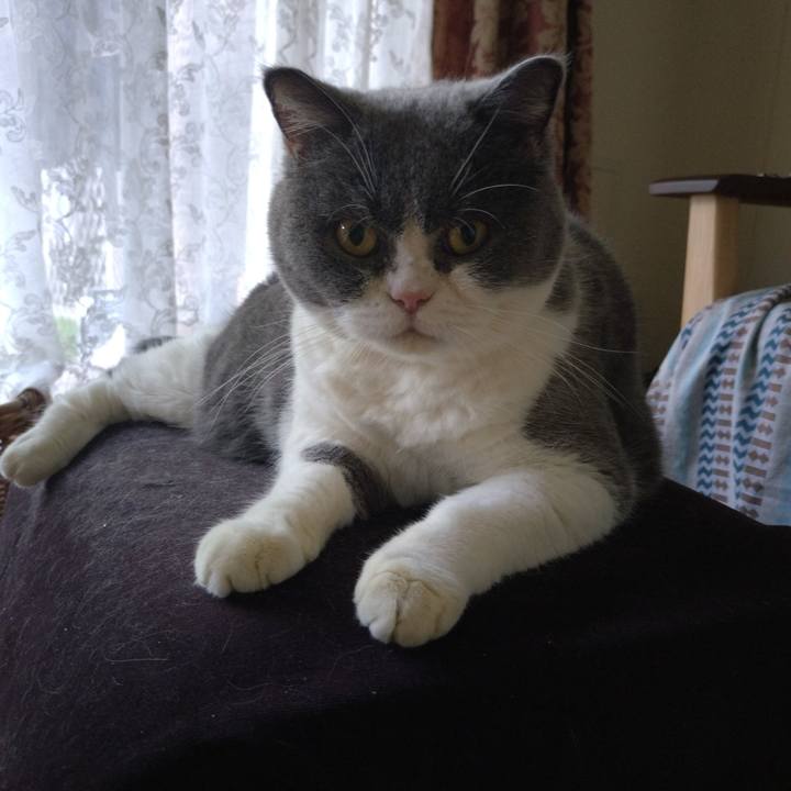 E637910a 96ae 4f88 b4b4 2b41cef3d925 1760059311223