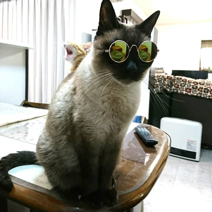 E6379207 d040 4a8b bffe 137ecc20acfa 1554418595669