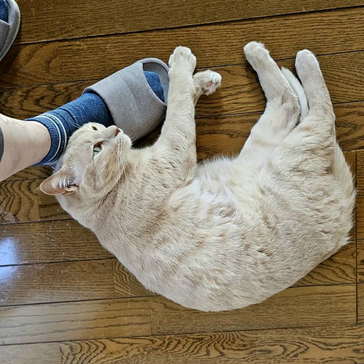 E637e0fe 1152 4c59 8075 8a27ce0114b4 1695781221579