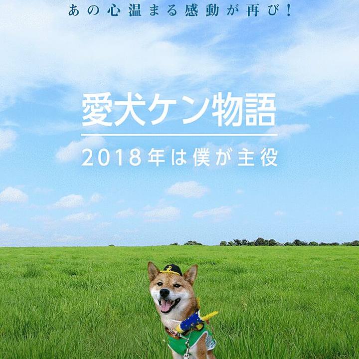 E637f5e7 799b 47b3 a90d 4252b9314da4 1513861220385