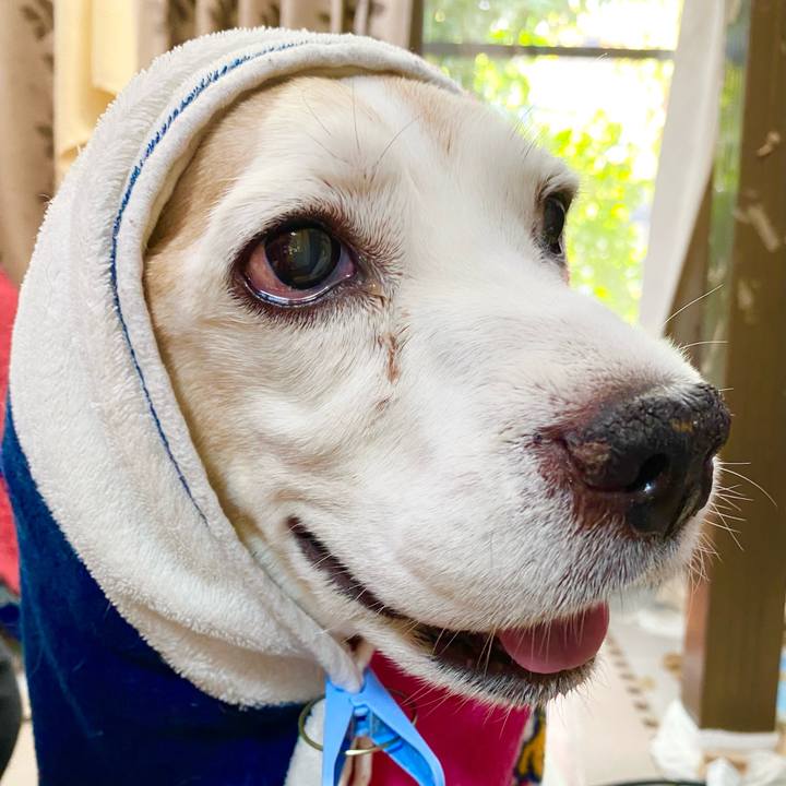 E638023d d2a7 49f4 9b82 142530e327c9 1668839107579