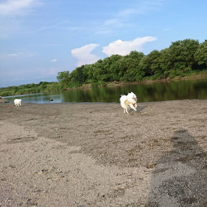 E638262a 0153 4fd7 b59f 8c8b44845d36 1598792264312