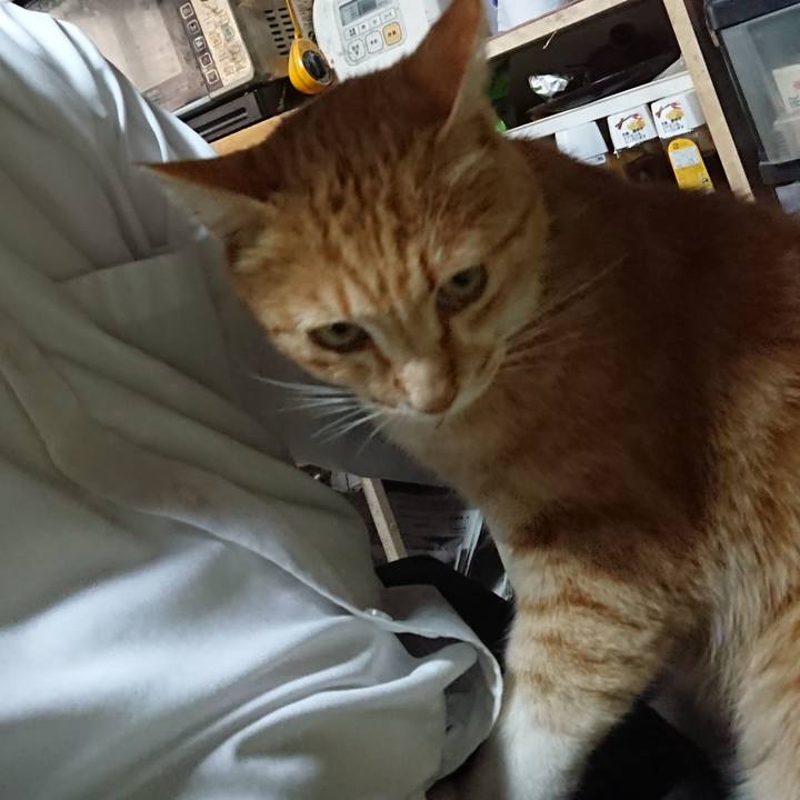 E638376b c423 4d1f 95e0 bfc51fa91d88 1589188684141