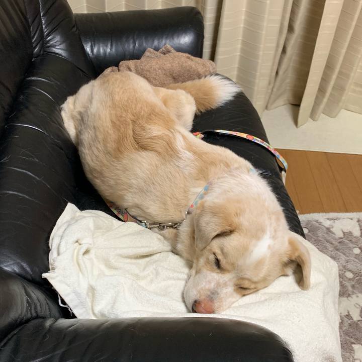 E63850ac e9fc 42d6 84dc 46b27b18be0c 1554221060956