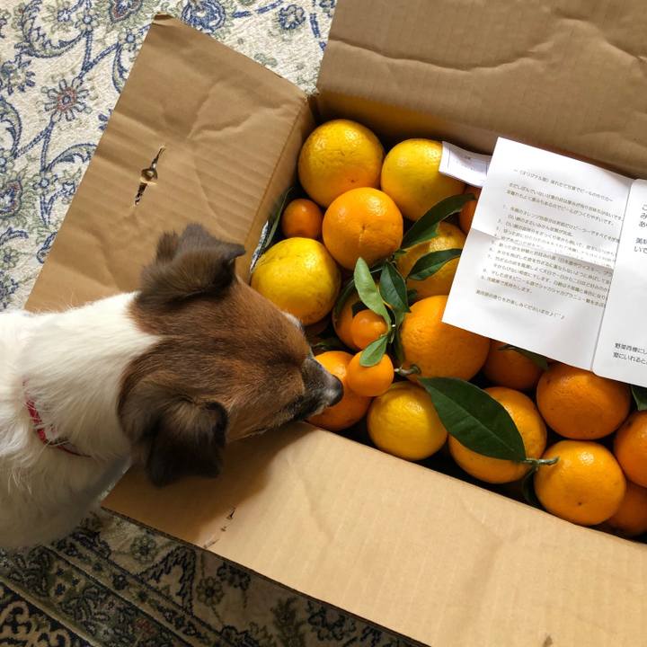 E6386ffb eae7 46c7 95d9 f941c78aad8e 1620034053981