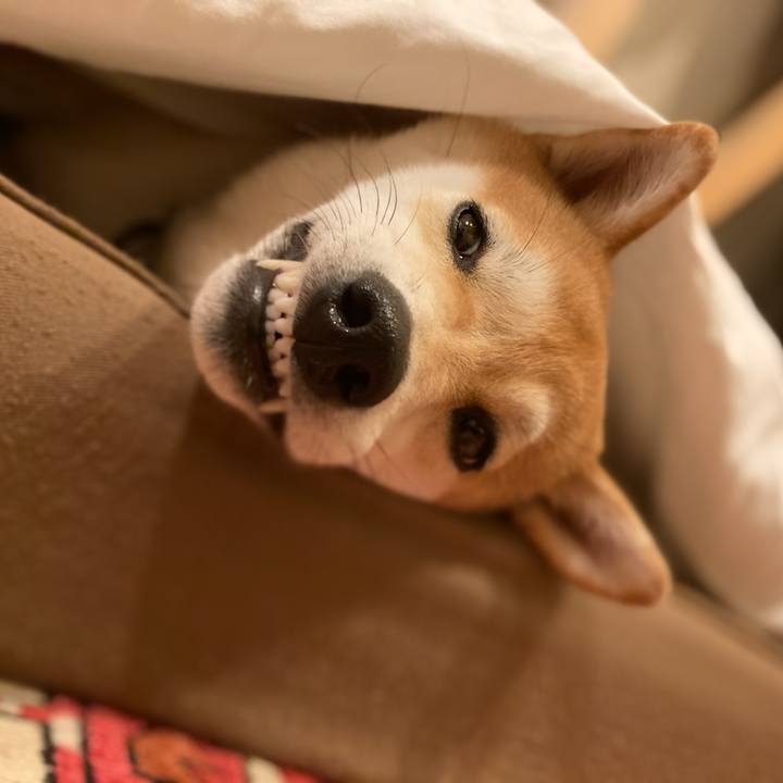 E638a10c be49 4d8e b00b afe6eb52d9e1 1656982642488