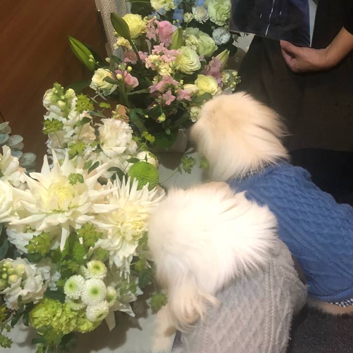 E638c011 7ecd 4878 934b 01c1f44711d5 1544706796418