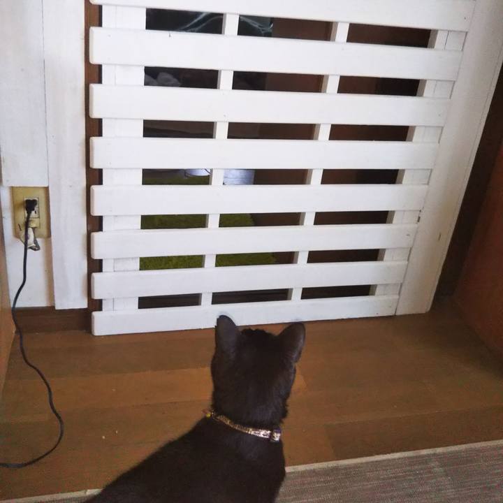 E638edb0 ceba 47bf 8029 62c8cb5ba0a1 1586301694476