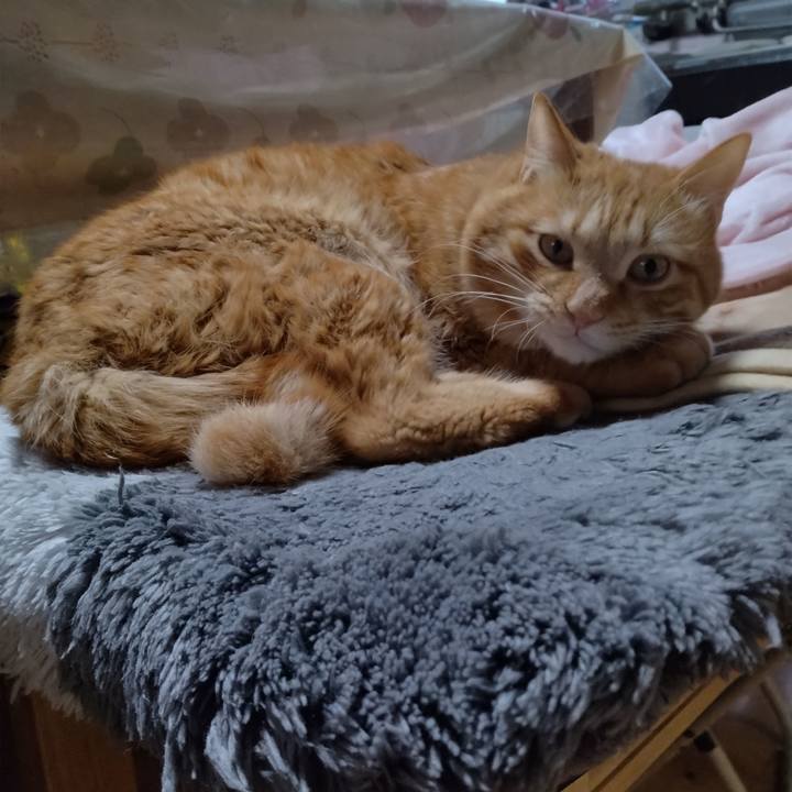 E63912c8 0a04 40f8 b64e d99b89530516 1674563763872