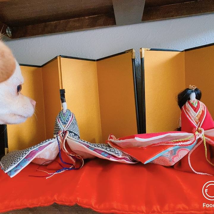 E6391955 2a1f 487c ab39 81115121b3b6 1614722062543