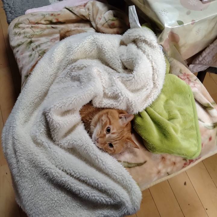 E6393e3c da9e 4acf ba84 e8ea09071257 1674691010866