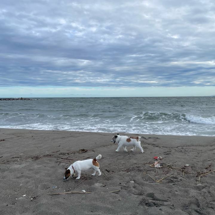 E63962f7 92ad 4f4b 84ae dcb59efc6cf5 1726442302298