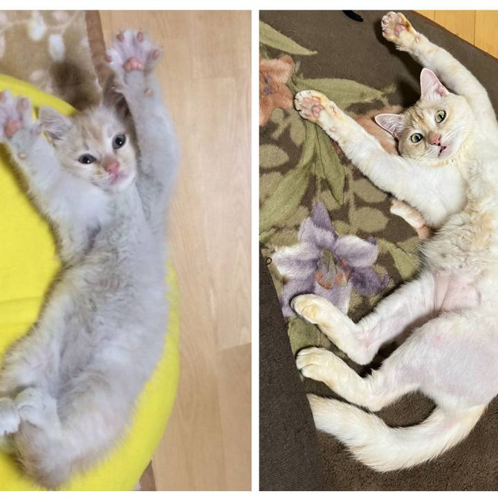 E63975a8 8c3d 4cf7 b4cd f81e35bc2902 1668985612357