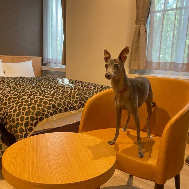 E6397aaa eee8 4c57 8fc1 590a0d131f6f 1758366850609