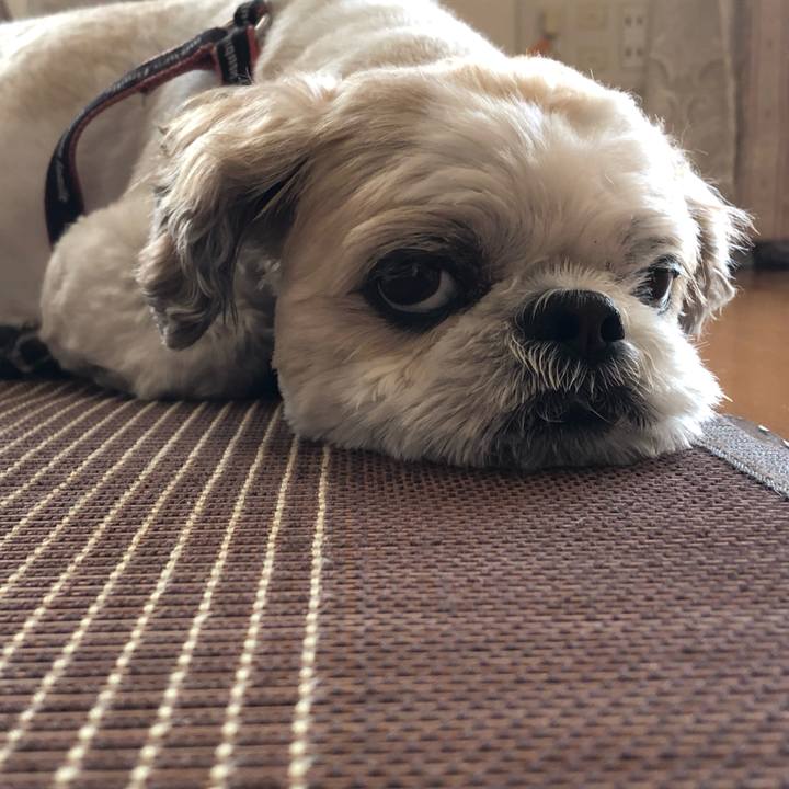 E639a80d 17ec 4935 9358 521fc715eed2 1592430532269