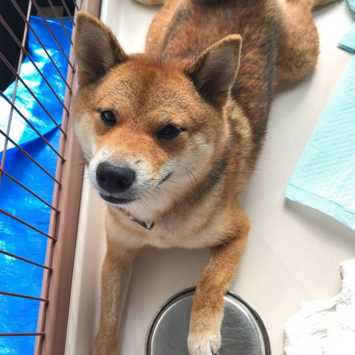 E639b113 b262 416a bc84 08008daf3341 1532040546481