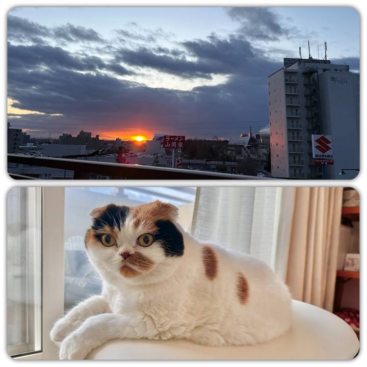 E639b523 11d3 45b9 928d e1f58c802148 1701381764659