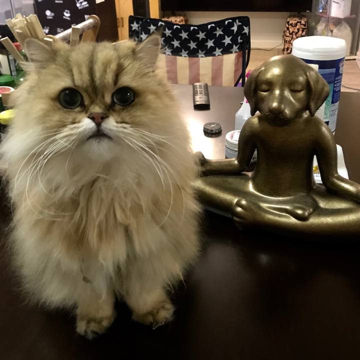 E639d63f 70ab 4c5b 9cf4 450d5f917bee 1554878712215