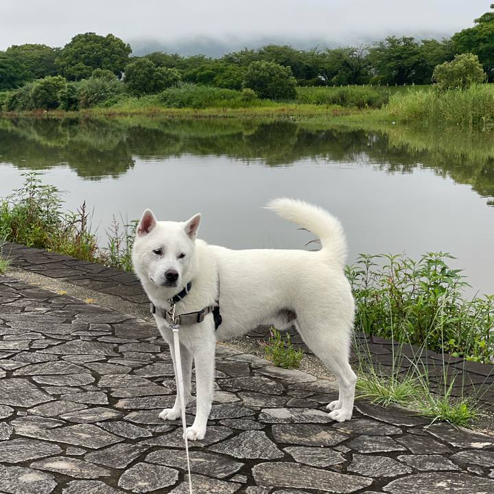 E639db7a 4798 44d1 ac20 47bb6aae468f 1718921506405