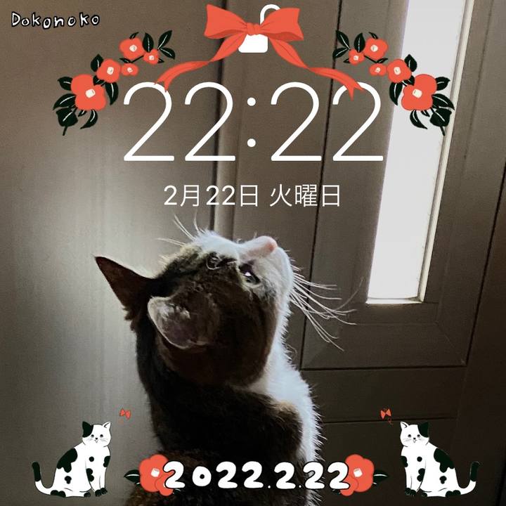 E63a0a2e 89d9 40a8 a3b8 a0d7464f5aac 1645536253964