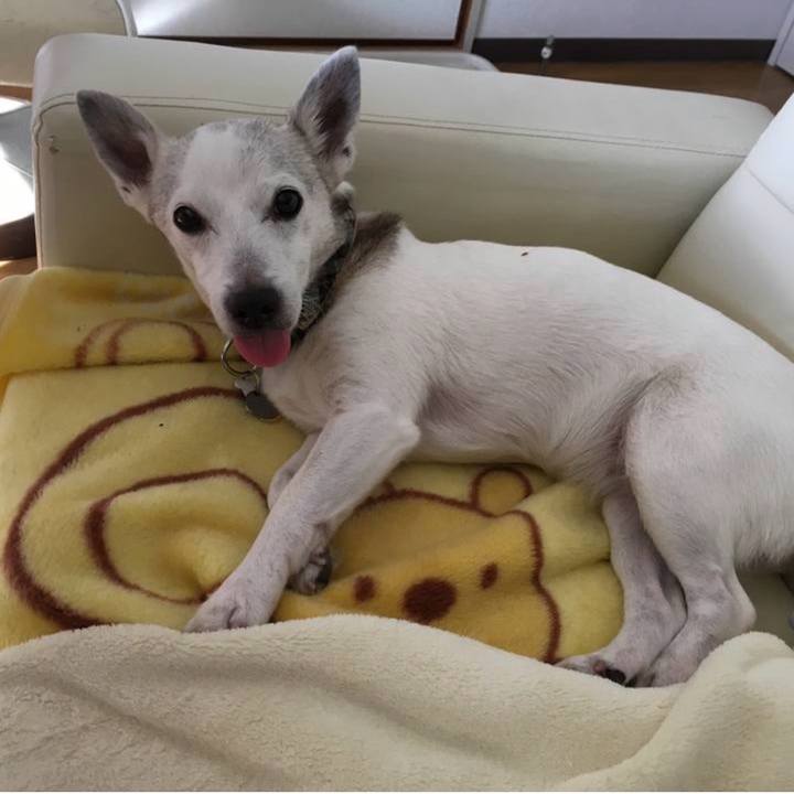 E63a54bf 96ae 48d8 bbba bb815f8356d3 1766181846556