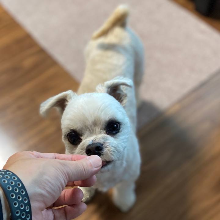 E63a5a52 5ae8 46d8 8a3a 2a522f585edd 1577955113179