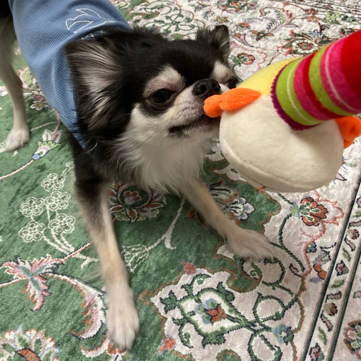 E63a641e 4fa7 4c4a 823b c798ed027e28 1656168889374