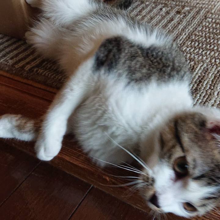 E63a95a8 4922 4c29 b78a 93a7c61d7950 1551225650095