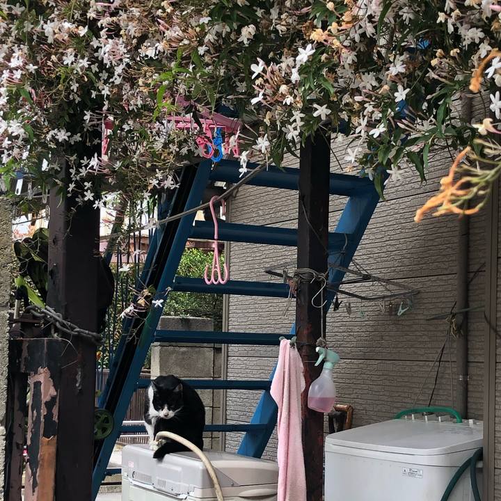 E63aa2af 5ef9 438f b43b 60406fa44184 1620576625373