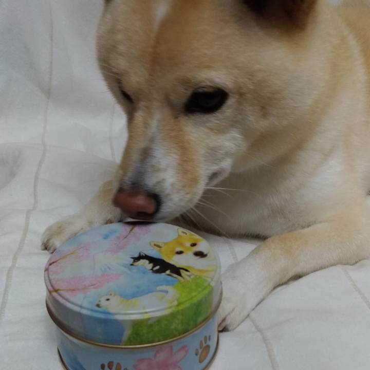 E63ac4e2 6522 44e6 a0cb 8149a458faae 1601508332292