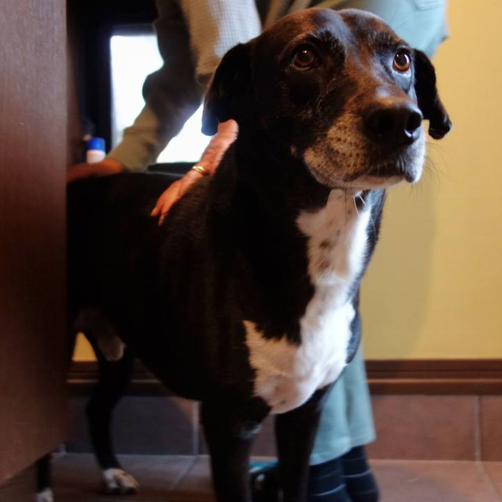 E63b21d7 defb 4c96 8201 cc707f14bd67 1730592467352