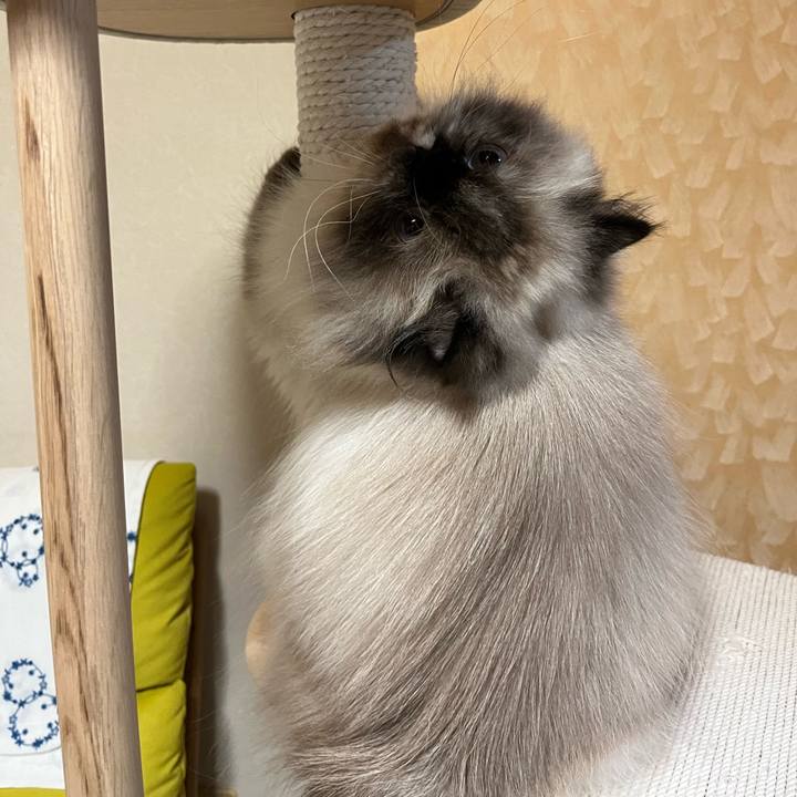 E63b32e4 6e4c 4401 a120 aaf990155a20 1692014717479