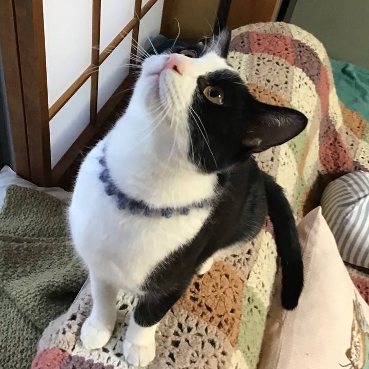 E63b3811 b2ac 4e38 86c1 bc419d14c91d 1643096690393