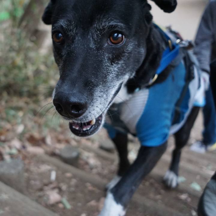 E63b7d2a 93eb 4330 afcf 34363f14f7dc 1768955272486