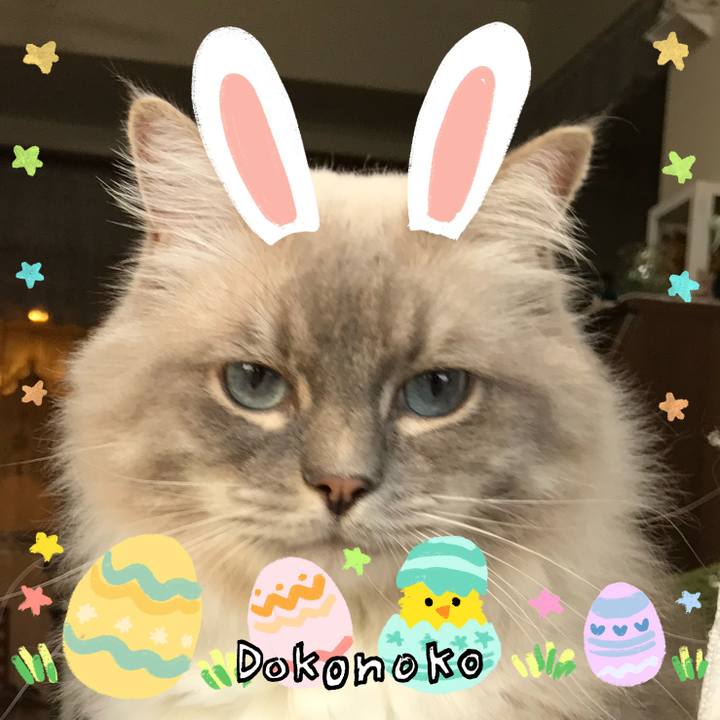 E63b87f7 ac3e 485a b20c 19c2ae5c67b6 1712663446308