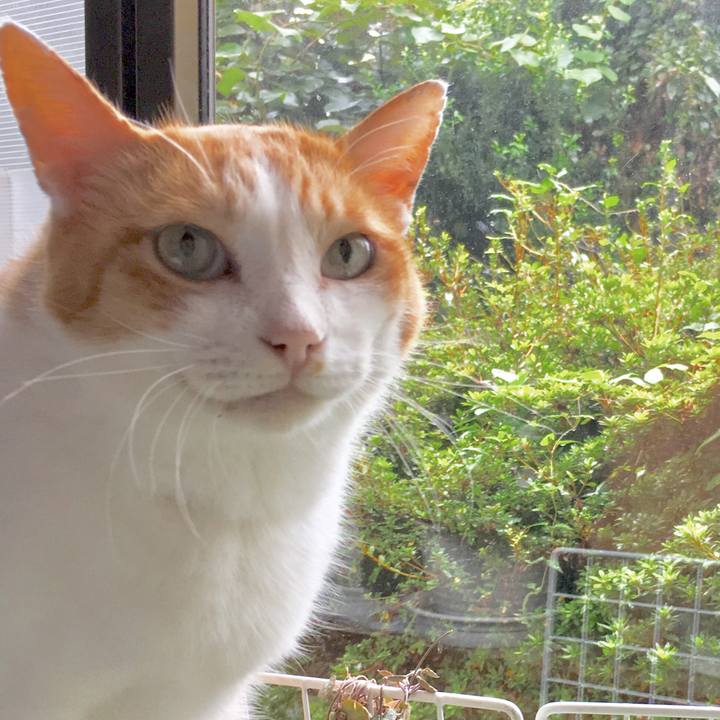 E63b8819 06e0 4a8e 8fab 417cc6878e78 1567995896708