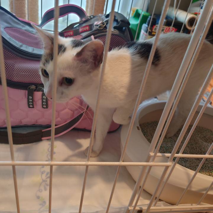 E63ba979 acd9 4bd8 9d02 7dc72cd718d6 1688549254616